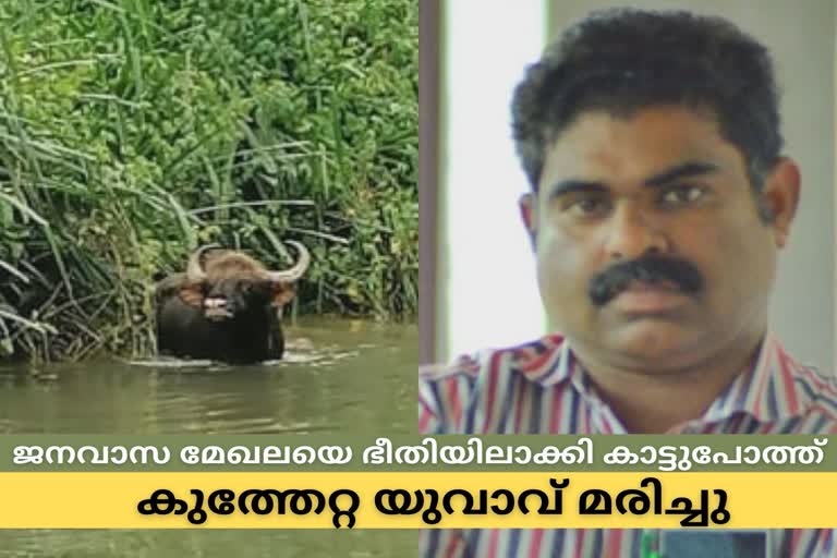 കാട്ടുപോത്തിന്‍റെ കുത്തേറ്റ യുവാവ് മരിച്ചു  മലപ്പുറം കാട്ടുപോത്ത്  കരുവാരക്കുണ്ട്  Wild buffalo attacked  wild buffali killed a man  Wild buffalo killed a man in malappuram  karuvarakkund  Wild buffalo attack  കാട്ടുപോത്ത് ആക്രമണം