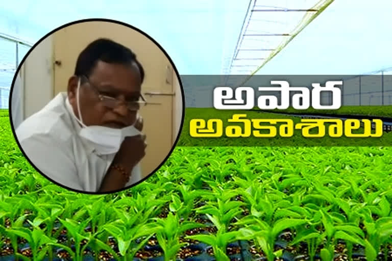 farmers focus on fruit crops said loka venkata rami reddy