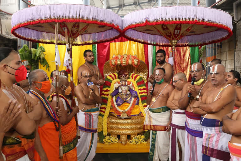 bramotchavalu at govindaraja swami temple