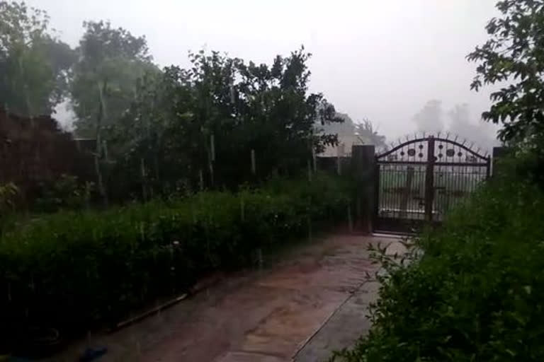 चक्रवाती तूफान तौकते, storm taukte effect, धौलपुर न्यूज़