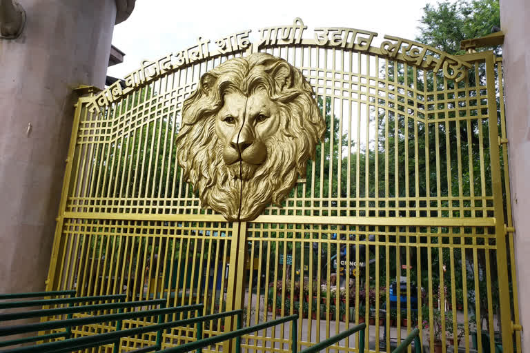 corona in lucknow zoo