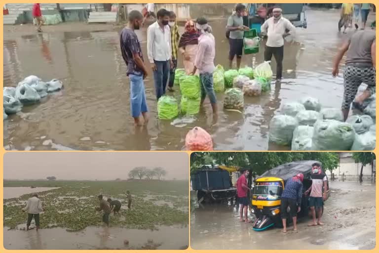 cyclone tauktae,  cyclone tauktae impact in rajasthan