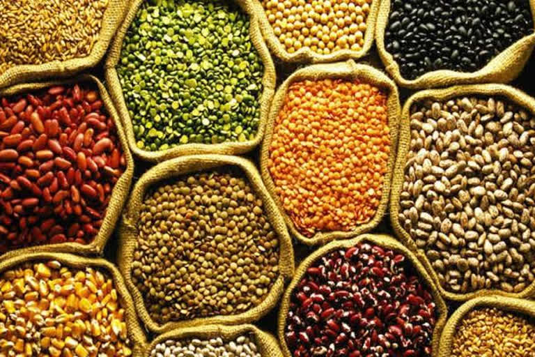 जयपुर न्यूज, Announcement of stock of pulses