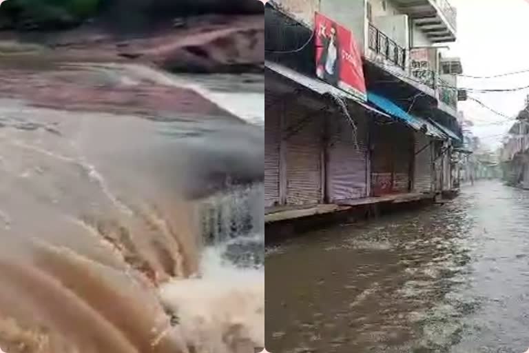भरतपुर में तौकते तूफान, taukate cyclone impact in bharatpur