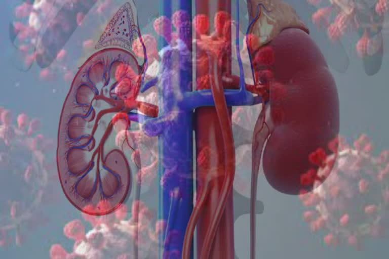 Covid-19 takes toll on Kidneys