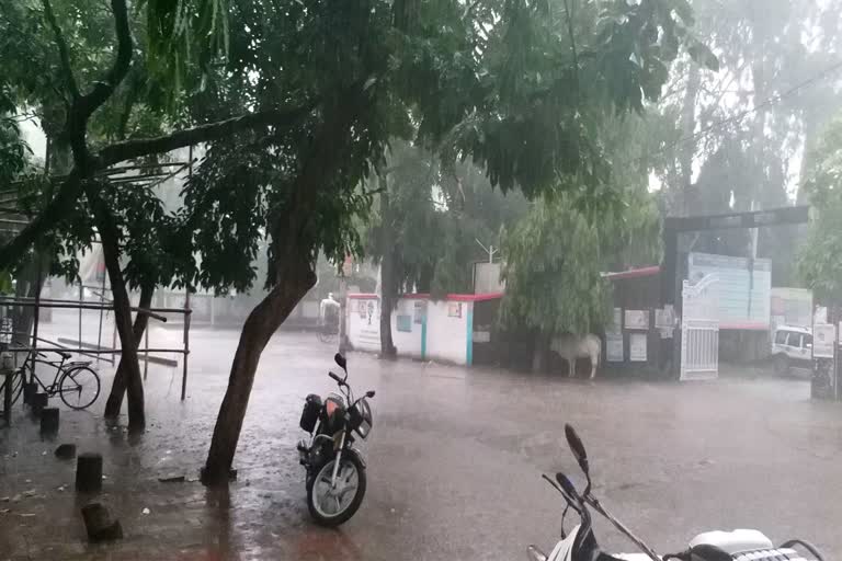 Rain and thunderstorm alert issue for next 3 hours in Bihar