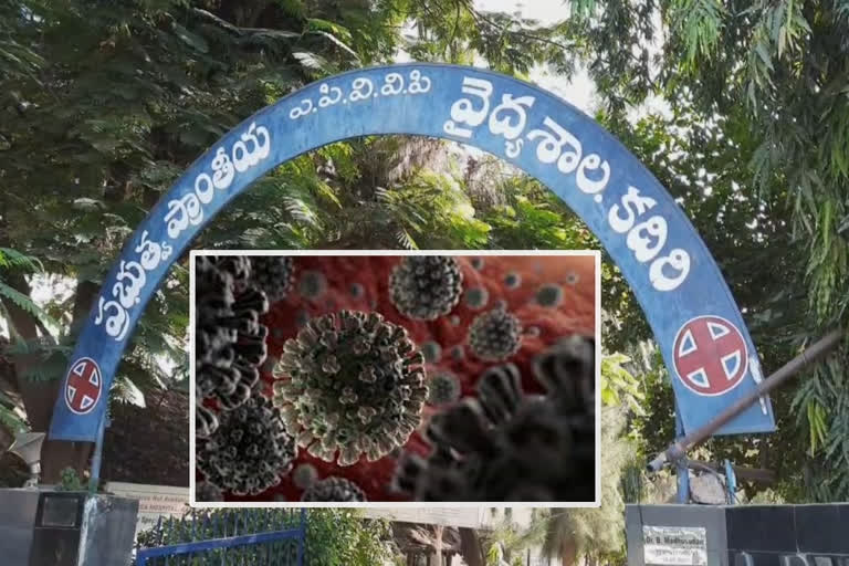 48 గంటల వ్యవధిలో 8 మంది కరోనా రోగుల మృతి