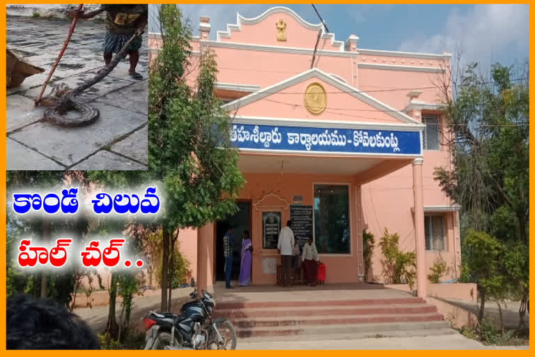 తహసీల్దార్ పాత కార్యాలయంలో కొండచిలువ హల్​చల్