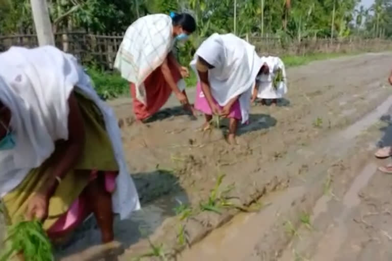 MAJULI ROAD