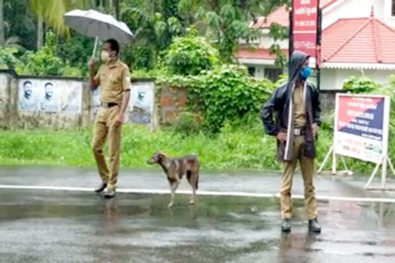 ಲಾಕ್​​ಡೌನ್ ವಾಹನ ತಪಾಸಣೆಗೆ ಪೊಲೀಸರ ಜೊತೆಯಾದ ಬೀದಿನಾಯಿ