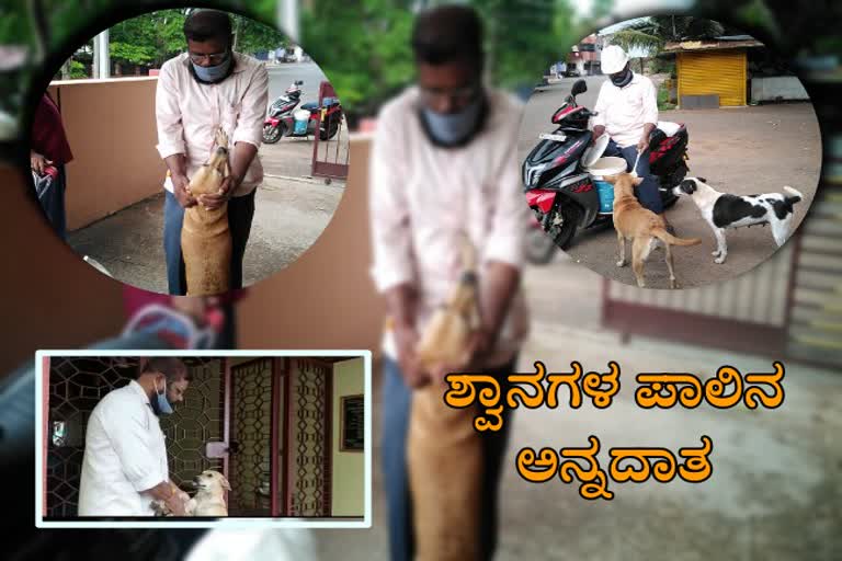 Puttur Municipality former president  feeds Street dogs everyday