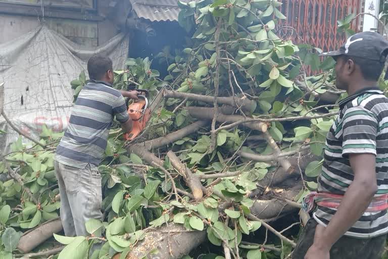 যশের তাণ্ডব থেকে রক্ষা পেতে প্রস্তুতি সারছে পৌরসভাগুলি