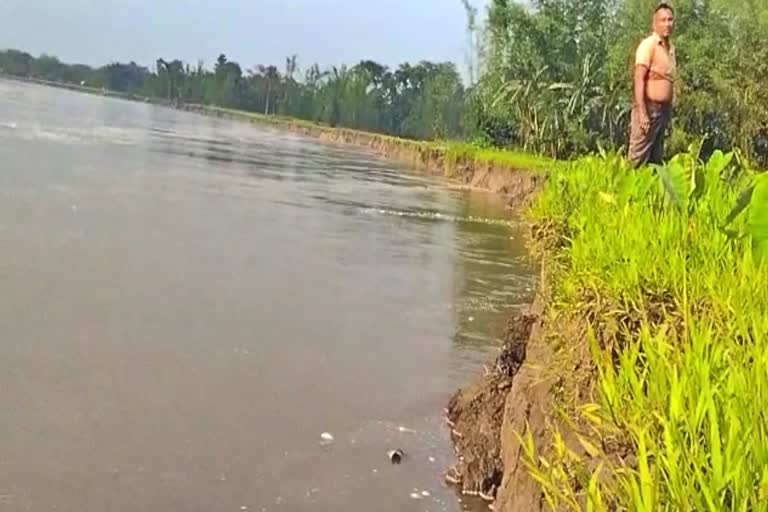 erosion of Sowanshiri river at Ghunasuti in Lakhimpur