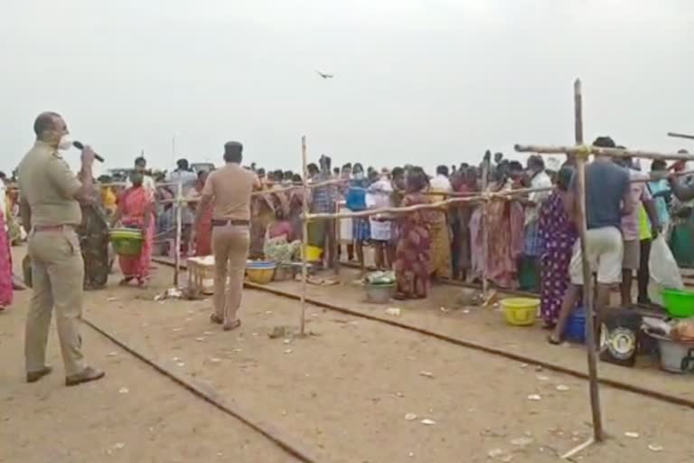 Kasimedu Fish Market