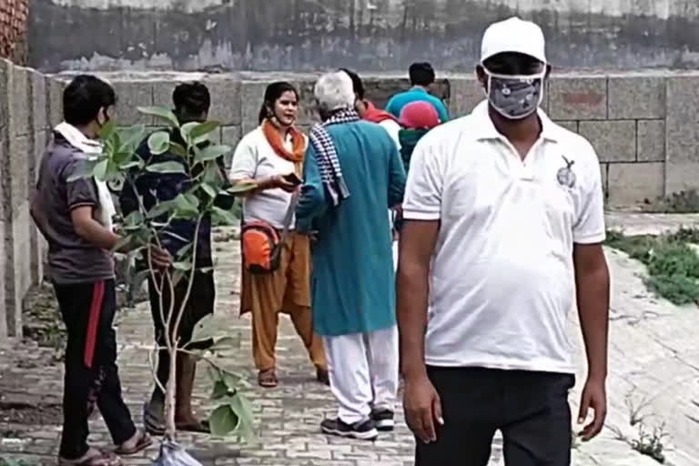 social organization planted tree in burari delhi