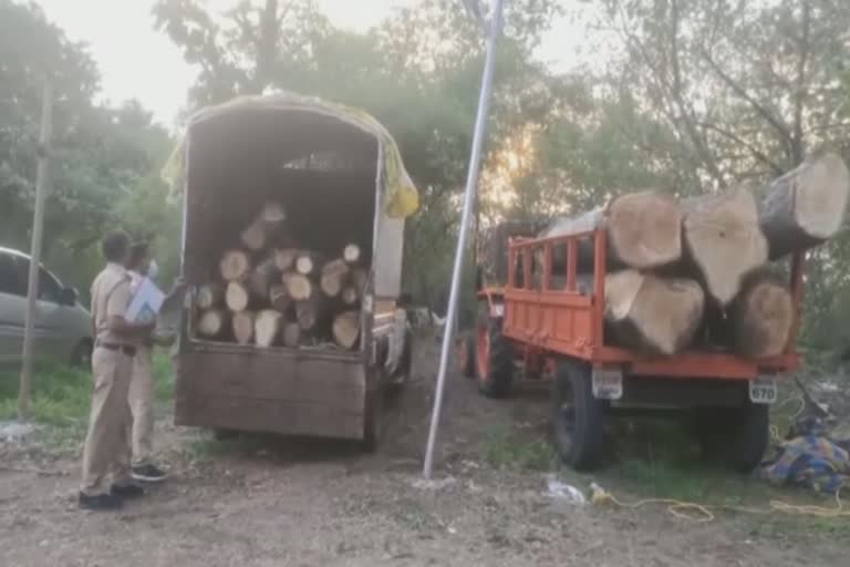 Wood Illegal Transport News Shahupuri