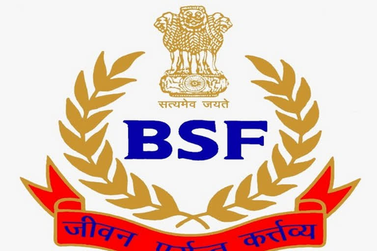 BSF hands over two Pakistani nationals to Pak Rangers