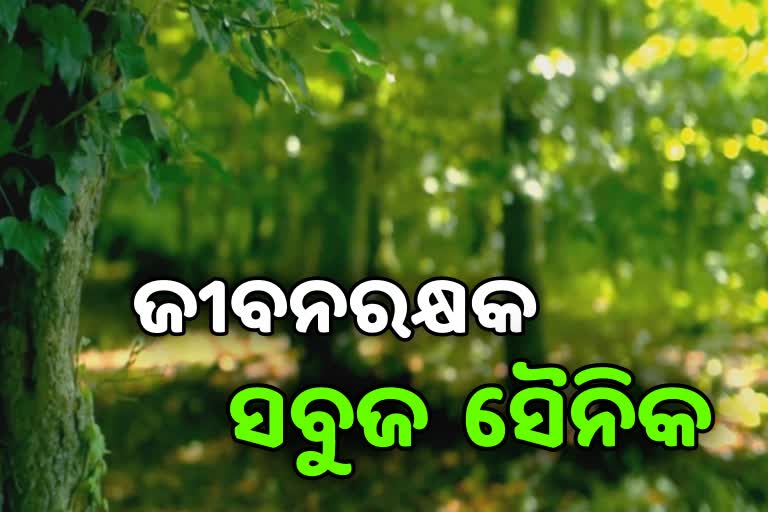 ସବୁଜ ସୈନିକ ସହ ବାନ୍ଧନ୍ତୁ ବନ୍ଧୁ, ରୁହନ୍ତୁ ସୁସ୍ଥ