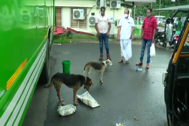 spca food distribution for animals  spca ernakulam  food for animals  മൃഗസ്നേഹികള്‍  സൊസൈറ്റി ഫോര്‍ ദി പ്രിവന്‍ഷന്‍ ഓഫ് ക്രൂവല്‍റ്റി ടു അനിമല്‍സ്