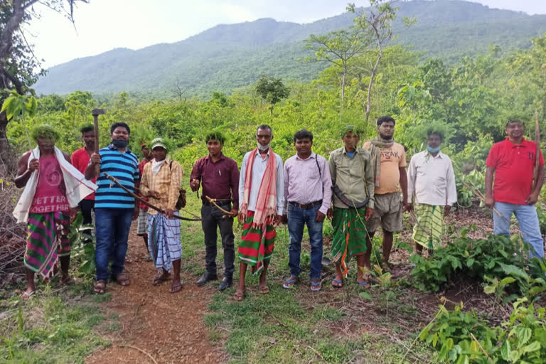 hunter climbed mountains of dalma forest to celebrate sendra in seraikela