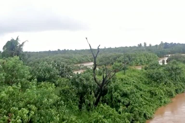 Puttur