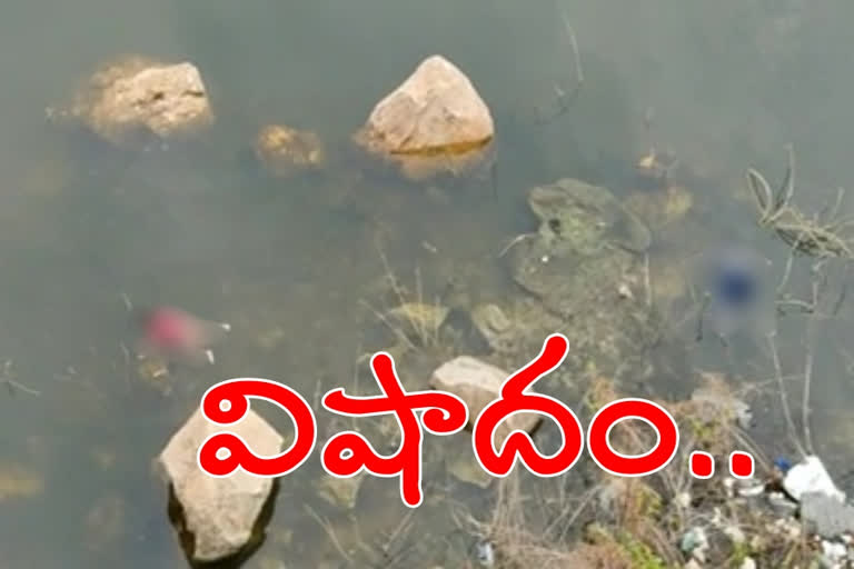 చిత్తూరు అన్నాస్వామి గండిచెరువు క్వారీగుంతలో గుర్తుతెలియని 3 మృతదేహాలు