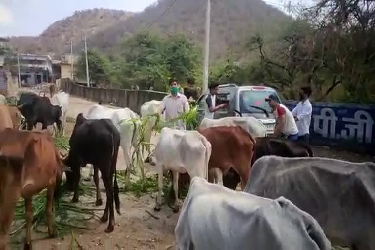 vishwa Hindu Parishad Bajrang Dal, राजस्थान न्यूज