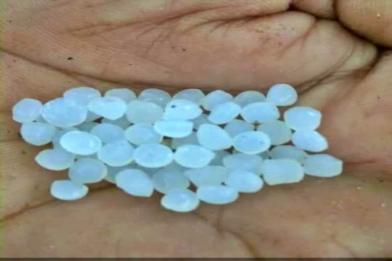 plastic-rice-found-in-rice-at-karkala