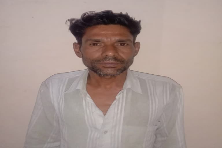 Husband murdered his wife in Rajasthan,  Husband murdered his wife in Churu