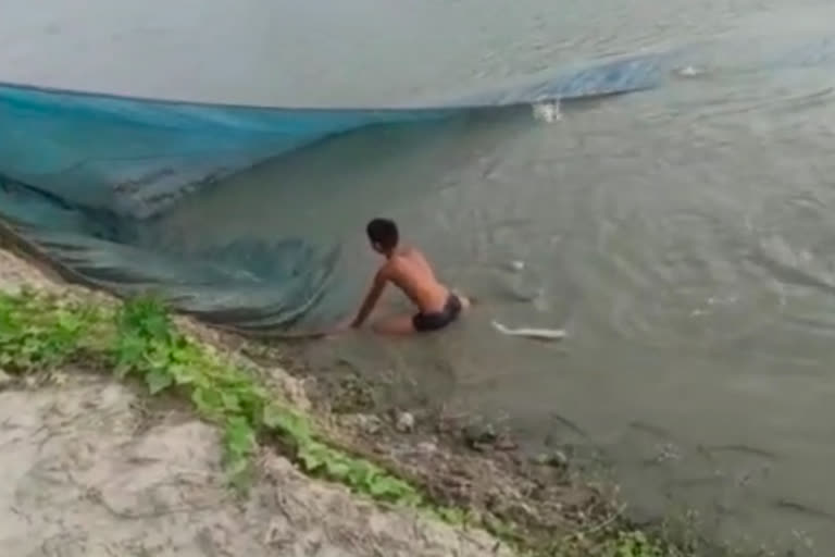 young boy taking responsibility of family due to mini lock down