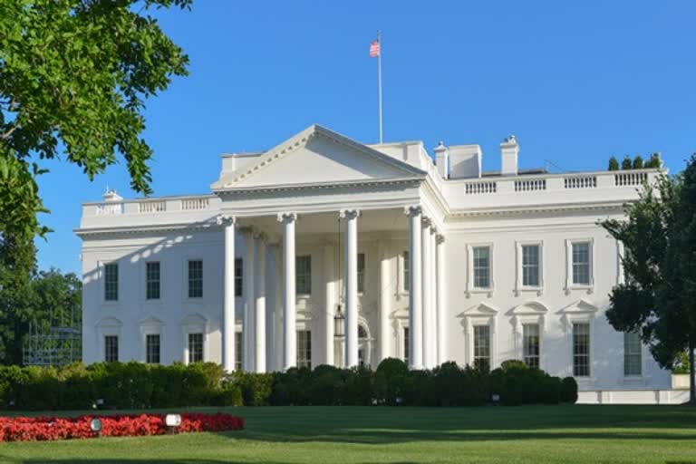 white house