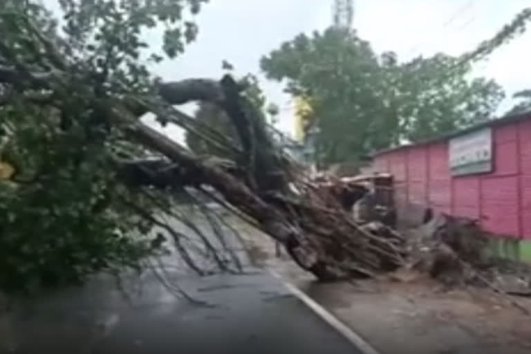 yaas cyclone  yaas cyclone odisha  yaas cyclone news  യാസ് ചുഴലിക്കാറ്റ്  യാസ് ചുഴലിക്കാറ്റ് ഒഡീഷ  യാസ് ചുഴലിക്കാറ്റ് വാർത്ത