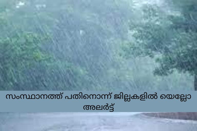 കേരളത്തിൽ കനത്ത മഴ  കേരളത്തിൽ 11 ജില്ലകളിൽ യെല്ലോ അലർട്ട്  11 ജില്ലകളിൽ യെല്ലോ അലർട്ട് പ്രഖ്യാപിച്ചു  കനത്ത മഴ കേരളത്തിൽ  കേരളത്തിൽ കനത്ത മഴയും കാറ്റും  യെല്ലോ അലർട്ട് വാർത്ത  kerala Rain updates  kerala rain news  yellow alert in 11 districts  yellow alert in 11 districts news  yellow alert news kerala  kerala rain updates  kerala yellow alert news