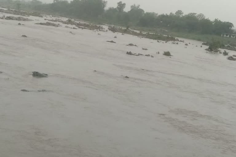 effect of cyclonic storm yaas in seraikela