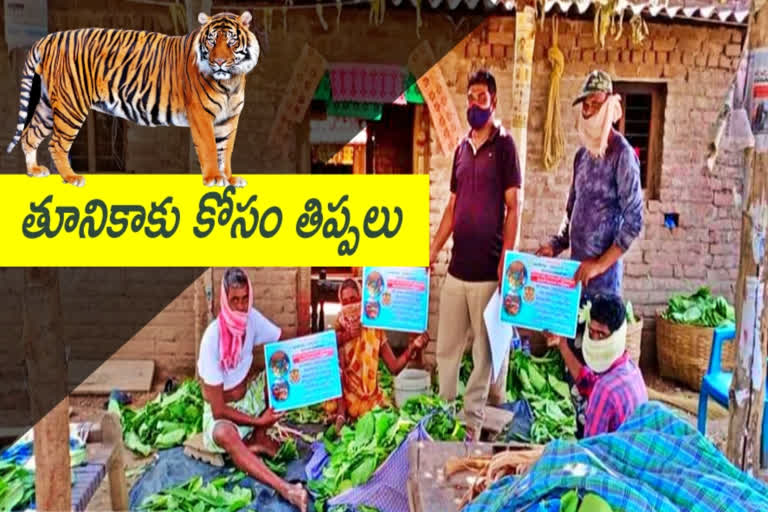 తునికాకు సేకరణ