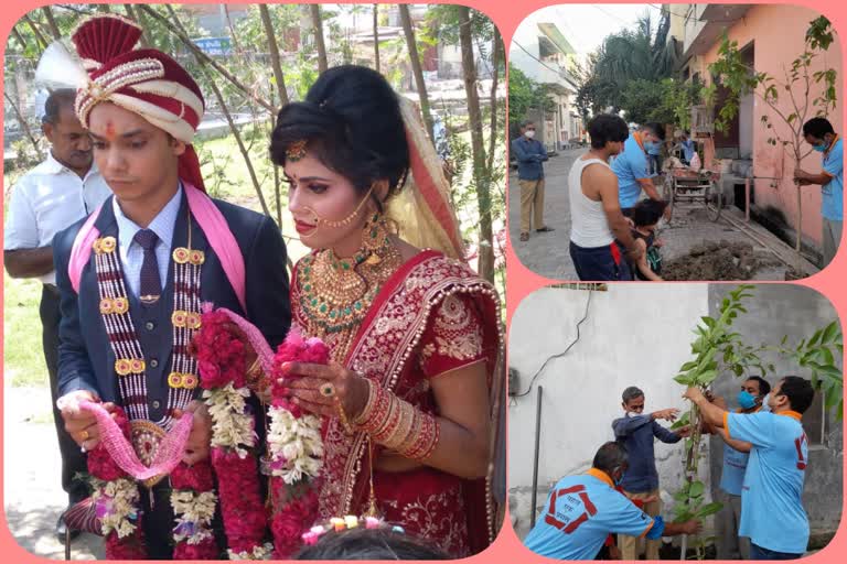 couple got Plant as a blessing in Muradnagar of Ghaziabad