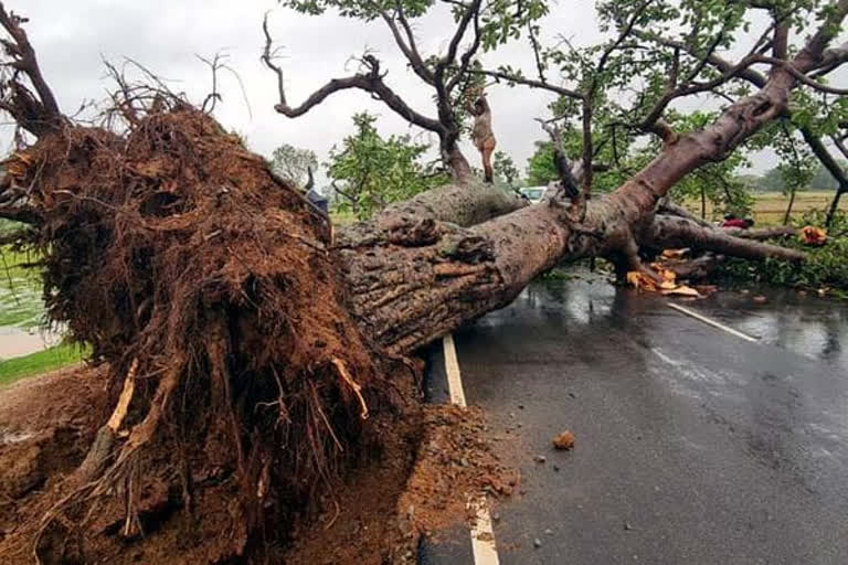 life effected due to yaas in jharkhand