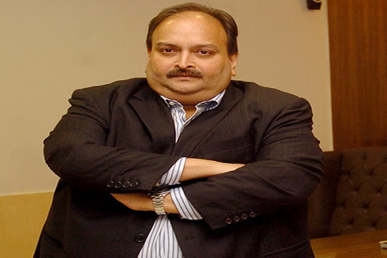 mehul choksi