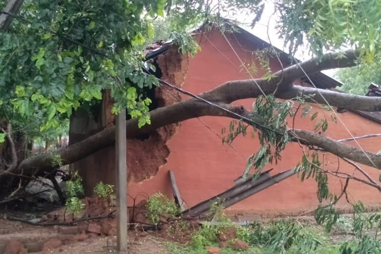 Chakravarti storm caused havoc in rural areas of Jamshedpur