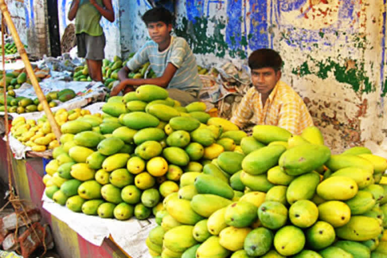 दशहरी आम के नहीं मिल रहे खरीदार