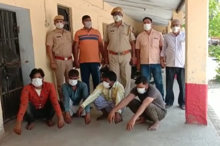 Accused arrested in Bharatpur,  Accused arrested in Kaman