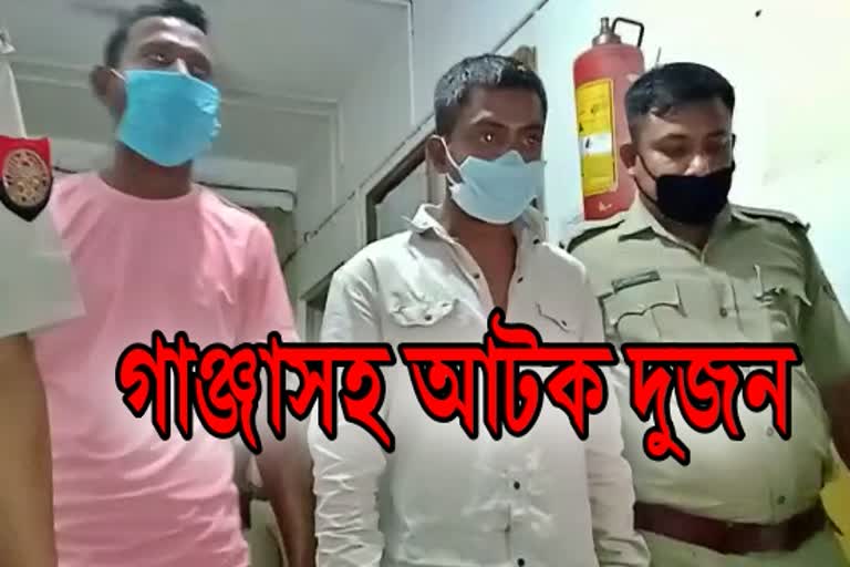 tinsukia ganja seized