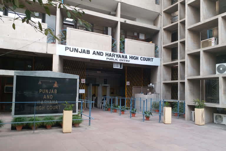 Punjab Haryana High Court Chandigarh