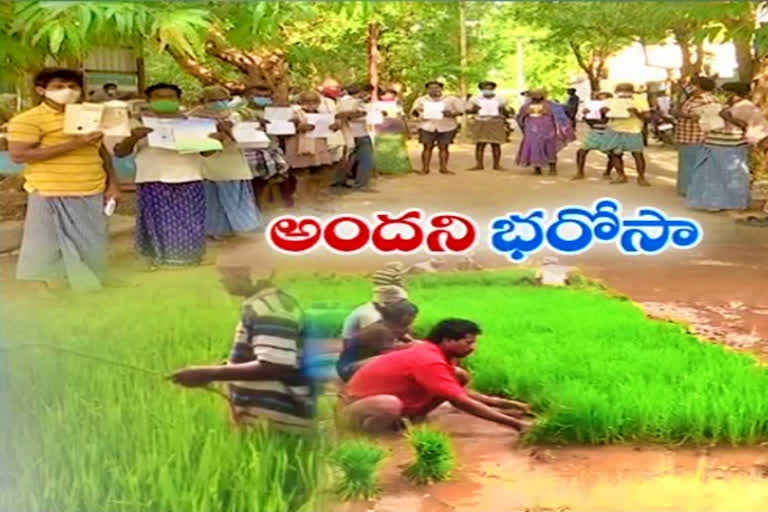 Kharif crop insurance scheme