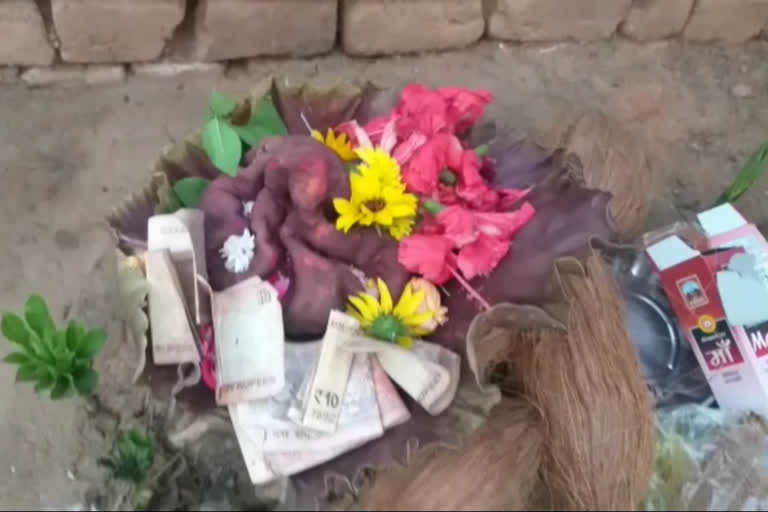 Ganesh ji came out in the flower of Suran