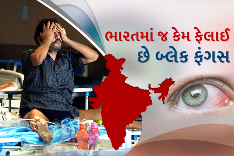 બ્લેક ફંગસ ફક્ત ભારતમાં જ કેમ ફેલાઈ રહી છે