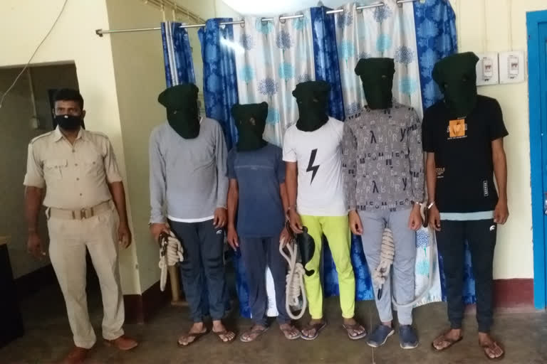 cyber criminals arrested in Jamtara