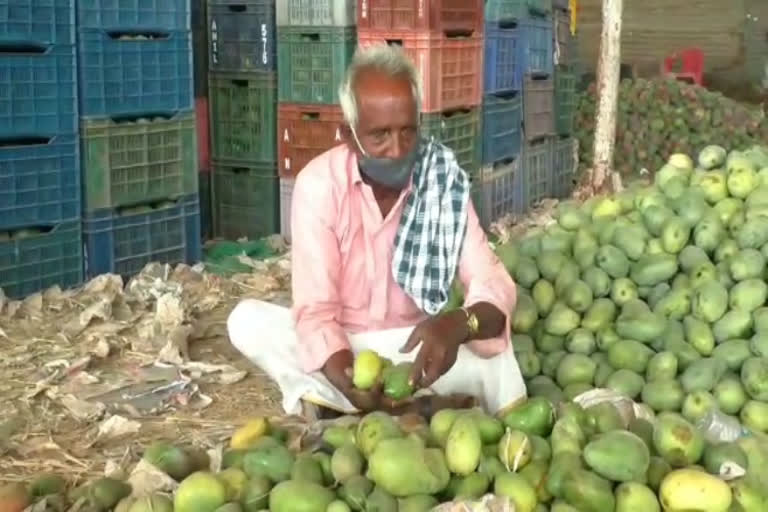 Farmers in distress without the right price for mango fruit in Chikkaballapur