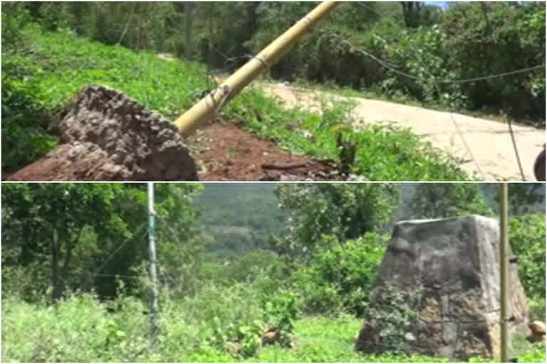 elephant-attack-in-marayoor-locals-in-distress  idukki  മറയൂരിൽ വീണ്ടും കാട്ടാനശല്യം; ഭീതിയിലായി പ്രദേശവാസികൾ  ഇടുക്കി