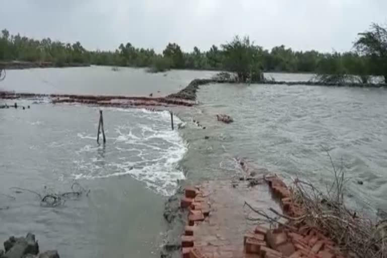 রায়দিঘিতে মণি নদীর বাঁধে নতুন করে ফাটল